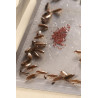 394435654448 - Polvere anti-strisciante, anti-scarafaggio anti-scarafaggio, esca e trappola per scarafaggi