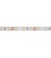 FLEXIBLE LED - BLANC FROID - 300 LED - 5 m - 12 V…