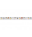 LED FLESSIBILE - BIANCO CALDO - 300 LED - 5 m - 12 V…