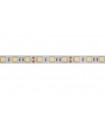 FLEXIBLE LED - BLANC FROID - 300 LED - 5 m - 12 V…