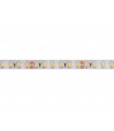 LED FLESSIBILE - BIANCO CALDO - 600 LED - 5 m - 24 V…