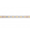 LED FLESSIBILE - BIANCO CALDO - 300 LED - 5 m - 24 V…