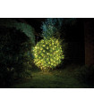 Smart Netlight LED - 1 2 x 1 2 m - 60 lampes blanc chaud - fil vert - modulateur - piles non fournies…