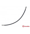 Flexible de frein BREMBO T 50 037 SUBARU MERCEDES-BENZ Leone I T1 Bus