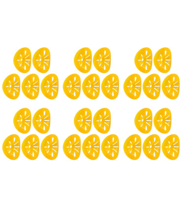 pour, guêpes, extérieur, réutilisable, jardin, piège, pièces, environnement