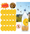 Trampa reutilizable para avispas para apicultura, de 5 a 100 piezas, atrapa-abejas en forma de flor.