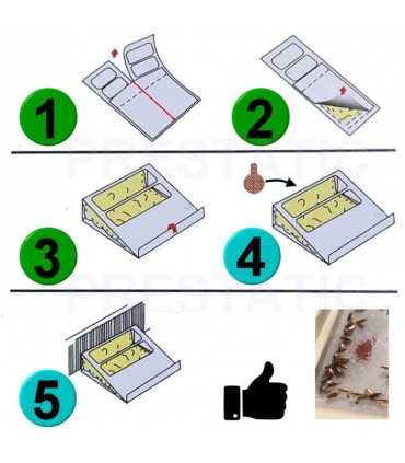 Prodotto anti-scarafaggio 24 pezzi Trappole per scarafaggi bloccate | Potente anti scarafaggi no