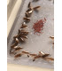 Anti Cockroach Product 24 PCS Cockroach Traps Stuck | Powerful anti cockroaches no