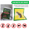 PACK-2-6970081490325 - Anti-crawling powder, anti-cockroach anti-cockroach, baits and cockroach trap
