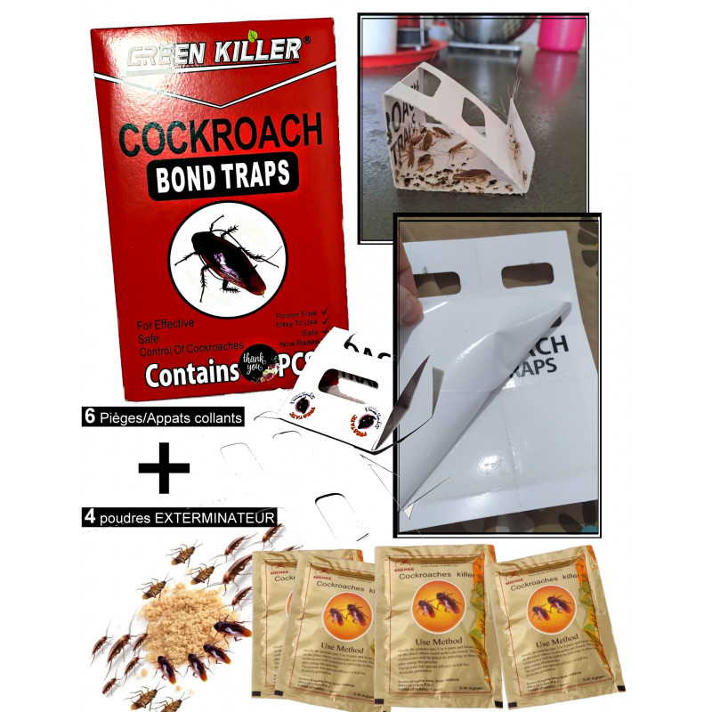 6Red-4Yellow - Polvere anti-strisciante, polvere anti-scarafaggi, esca e trappola per scarafaggi