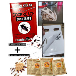 6Red-4Yellow - Polvere anti-strisciante, polvere anti-scarafaggi, esca e trappola per scarafaggi
