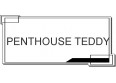 PENTHOUSE TEDDY