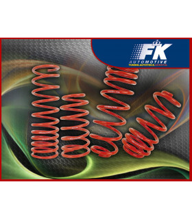 Coilover pièces de rechange - Ressorts d'abaissement Honda Stream Kombi RN1