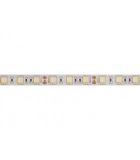 Flexibles LED - serie standard - FLEXIBLE LED - BLANC FROID - 300 LED - 5 m -