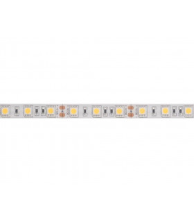 Flexibles LED - serie standard - FLEXIBLE LED - BLANC NEUTRE - 300 LED - 5 m -