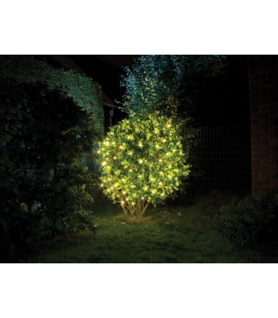 Filets lumineux - Smart Netlight LED - 1 2 x 1 2 m - 60 lampes blanc chaud -