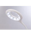 Pince de table - LAMPE DE BUREAU LED - RECHARGEABLE - INTENSITE VARIABLE - 20