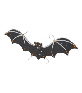 Animaux insectes - CHAUVE-SOURIS CMS…