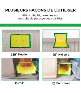 Produit anti cafards Plaques Collantes, 4 pcs Piège à Rats, Souris