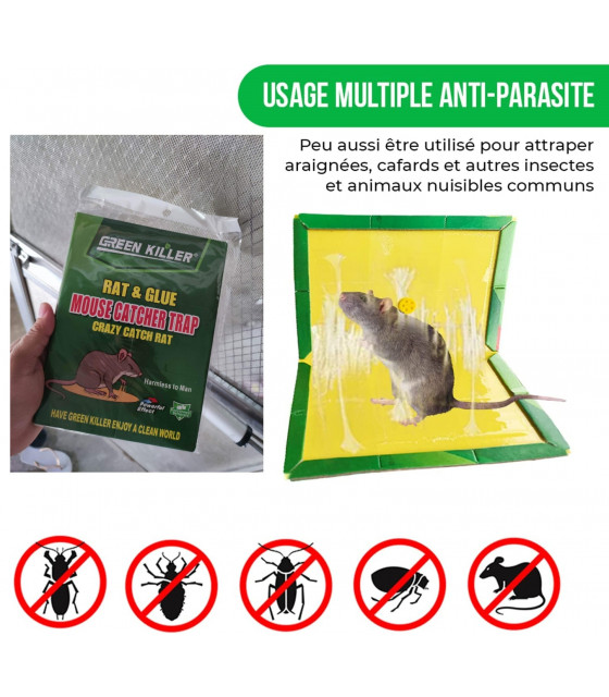 Produit anti cafards Plaques Collantes, 4 pcs Piège à Rats, Souris