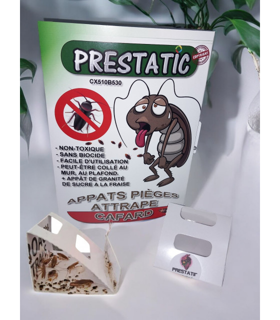 Sticky Cockroach Traps | Powerful Anti Cockroaches - 24 PCS