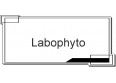 Labophyto