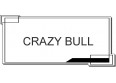 CRAZY BULL