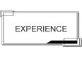 EXPERIENCE