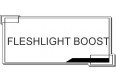 FLESHLIGHT BOOST